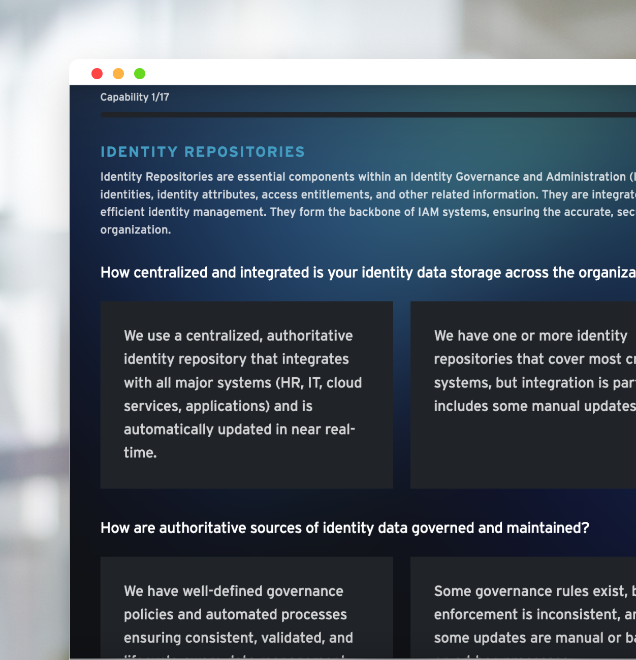 Identity Maturity Assessment Interface