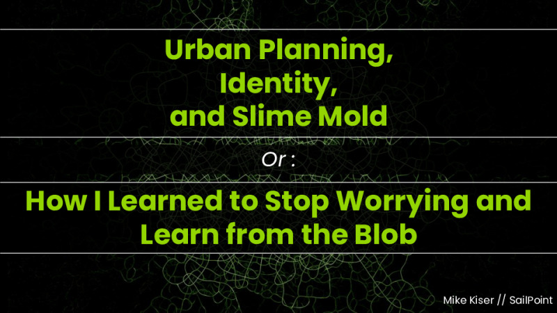 Urban Planning and Identity with Slime Mold or: How I learned to Stop Worrying and Learn from the Blob