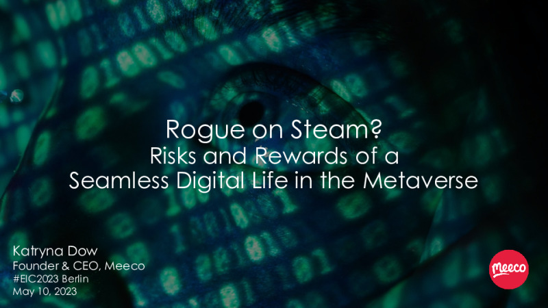 Rogue on Steam? Risks and Rewards of a Seamless Digital Life in the Metaverse