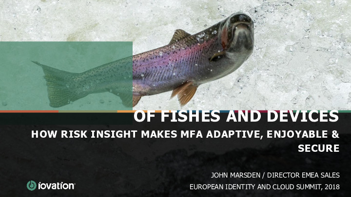 Of Fishes and Devices: How Critical Risk Insight Makes MFA Adaptive, Enjoyable, and Secure