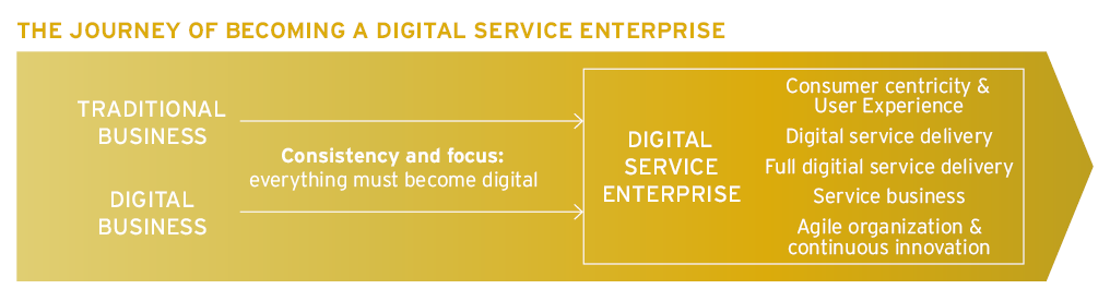 The Journey of Becoming a Digital Service Enterprise