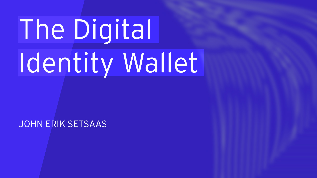 The Digital Identity Wallet - A user perspective