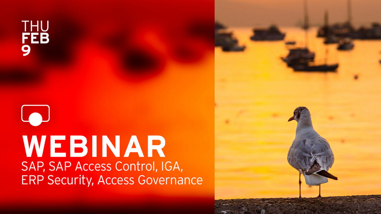 Access Governance für SAP-Systeme – Direkt aus dem IGA-System