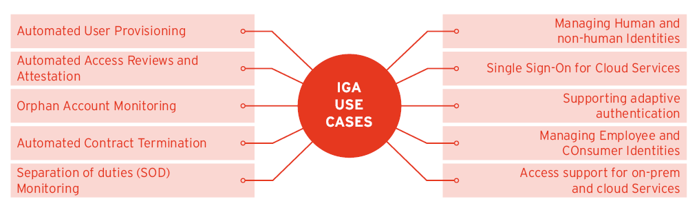 Top IGA Use Cases