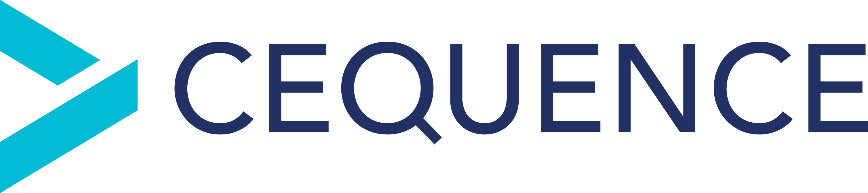 Cequence Security