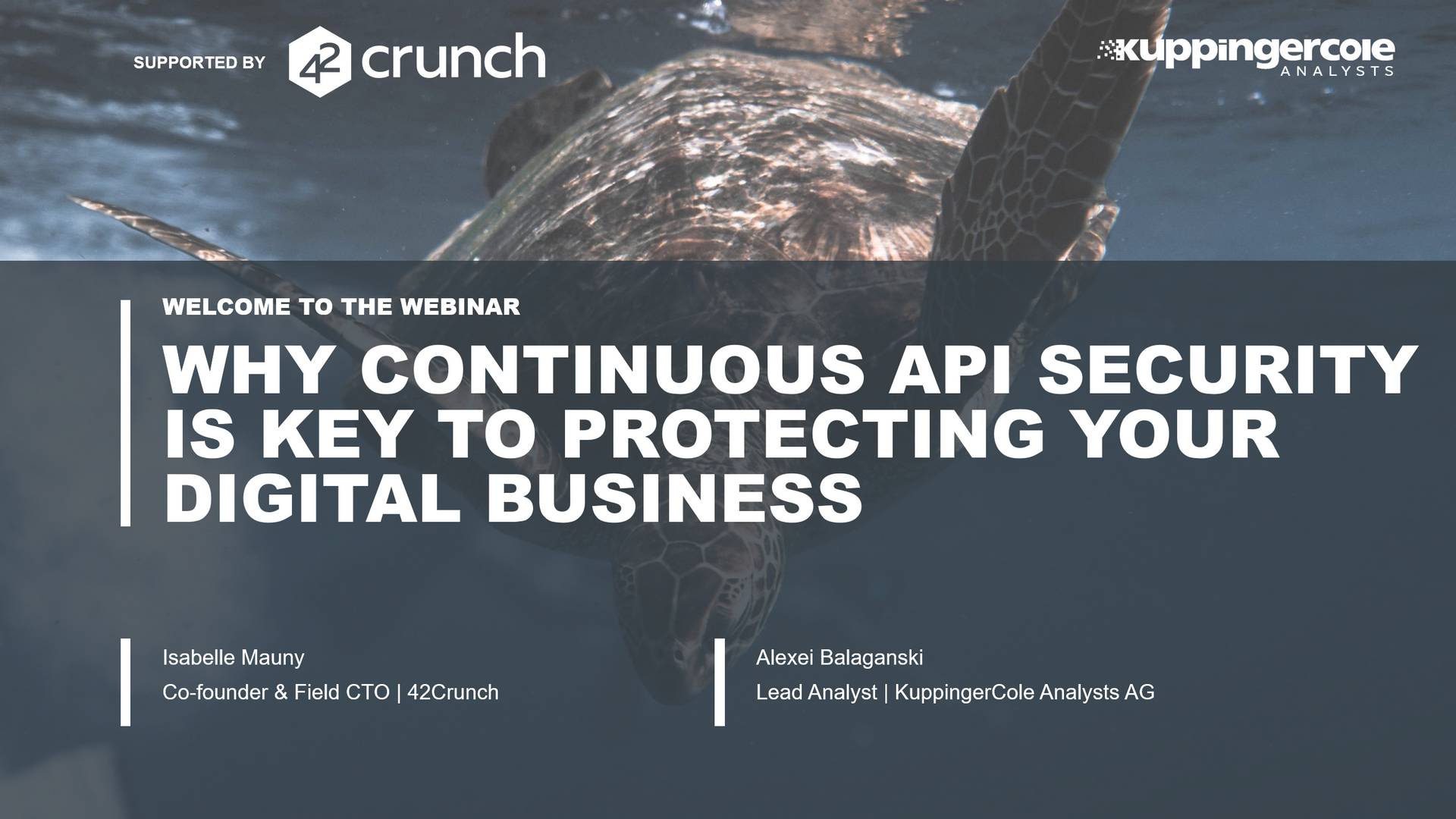 Why Continuous API Security Is Key to Protecting Your Digital Business