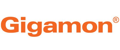 Gigamon