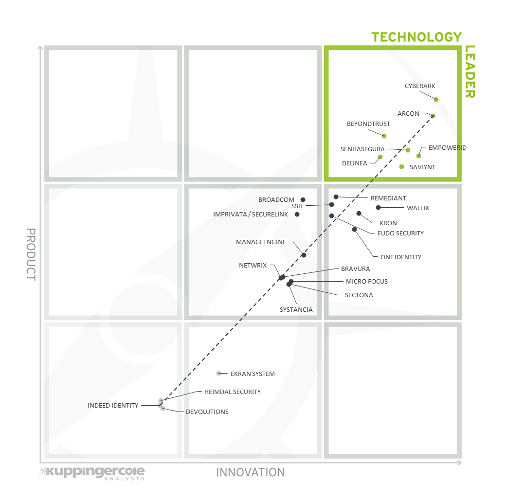 The Product/Innovation Matrix for PAM