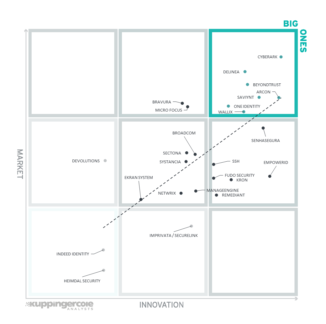 The Innovation/Market Matrix for PAM