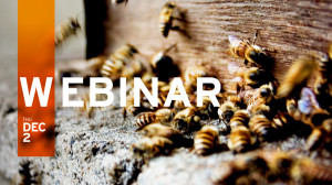 Urgent Need to Protect the Most Critical Business Assets: Data & People