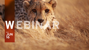 Technological Approaches to a Zero Trust Security Model