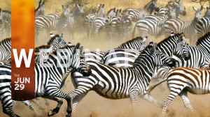 Accelerate Your Digital Transformation Through Identity