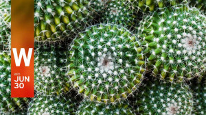 A Unified Approach to Modern Data Protection