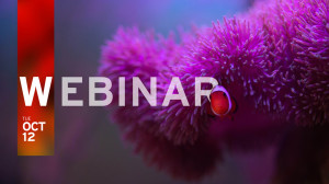 Verifiable Credentials: A Fresh Approach to Identity in the Digital Era