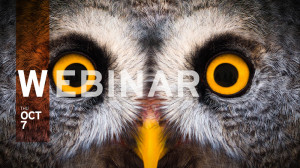 Uncovering the Truth About SAP Identity & Access Management