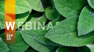 Understanding the IGA-Focused Identity-as-a-Service (IDaaS) Market