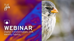 Evolving Identity and Access Management for the Digital Era