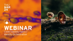 An Agile Approach to Customer Identity and Access Management (CIAM)