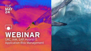 Effective Identity Access Governance in Hybrid SAP Environments