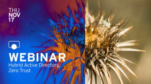 Effective IAM in the World of Modern Business IT