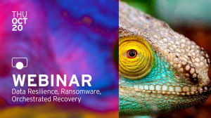 Why Data Resilience Is Key to Digital Transformation
