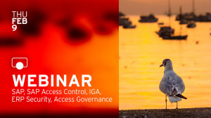 Access Governance f&uuml;r SAP-Systeme &ndash; Direkt aus dem IGA-System