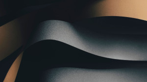 Identity Assurance Using Biometrics