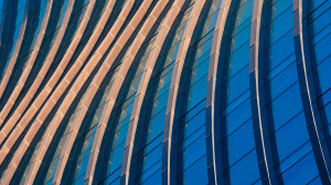 Navigating Identity Security: Integrating SAP Into an Identity Fabric