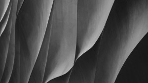 Adapting to Evolving Security Needs: WAF Solutions in the Current Market Landscape