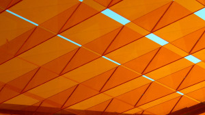 Driving Security through Observability: Transforming Application Risk into Resilience