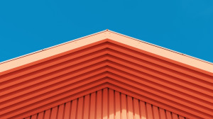 From Hype to Help: Making AI in IGA Work for You