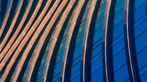 Navigating the Evolving IGA Landscape: Insights from the Leadership Compass