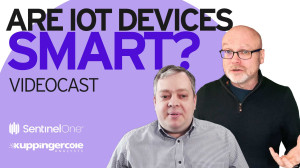 When AI meets IoT: Does the Public Perception Reflect Reality?