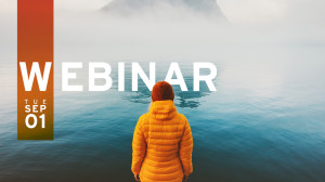 Designing and Establishing a Mature PAM Ecosystem for Reducing Risk in Your Organisation