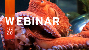 Accelerating Your Digital Transformation: Secure and Successful Cloud Migrations