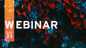Seamless Connectivity: Why You Need It and How to Get It Right