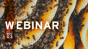 Decoding Advanced Privileged Access Management for Digital Environments - A conversation with Paul Fisher and Anil Bhandari