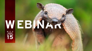 Endpoint Protection Made Easy With Privilege Management
