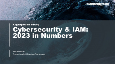Cybersecurity & IAM:​ 2023 in Numbers