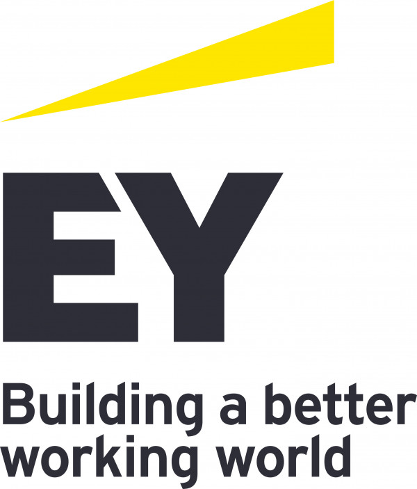 Ernst & Young GmbH Wirtschaftsprüfungsgesellschaft (EY)